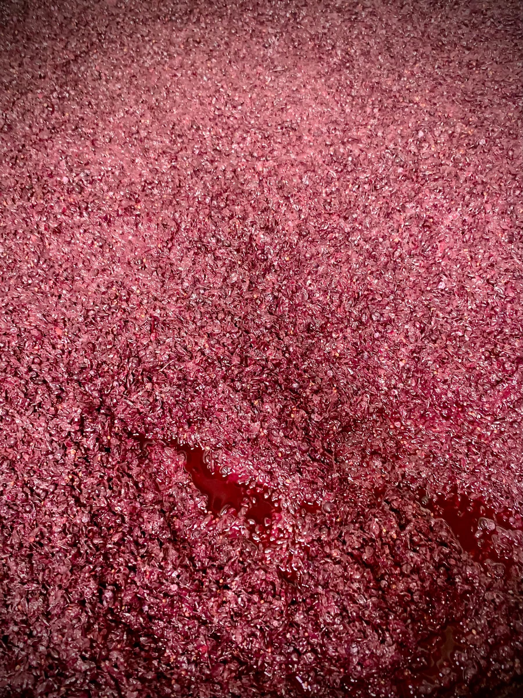 Vinacce in fermentazione, superficie densa color bordeaux