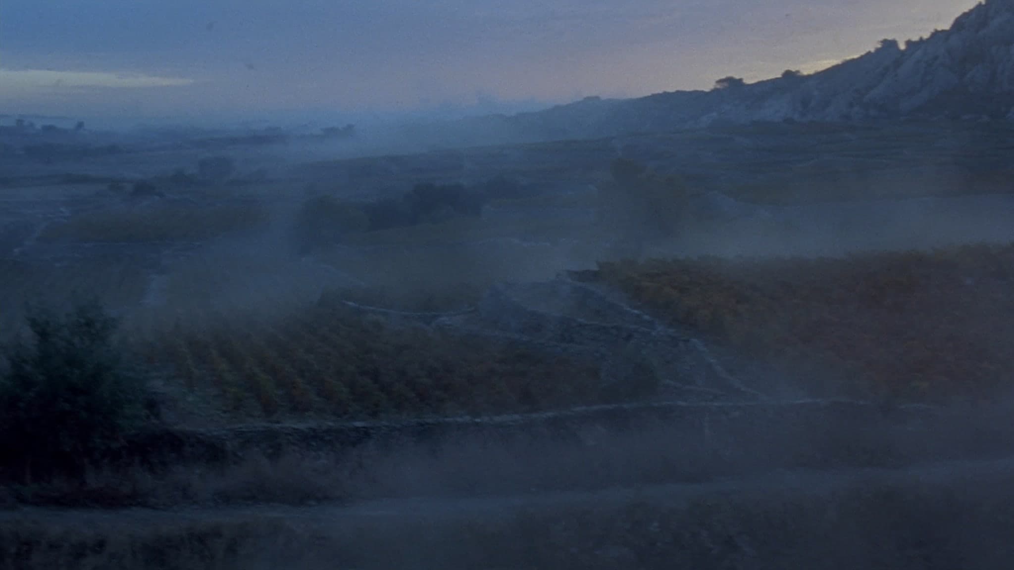 Vigneti su collina avvolti nella nebbia all'alba
